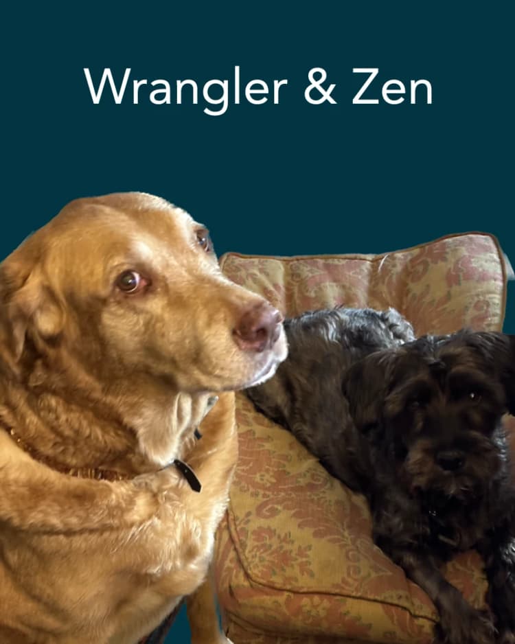Wrangler & Zen